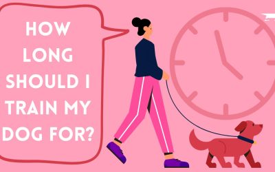 How Long Should I Train My Dog For?