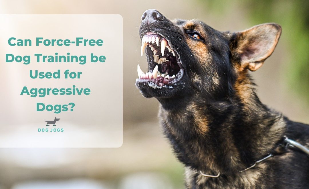 Can Force-Free Dog Training Be Used For Aggressive Dogs?