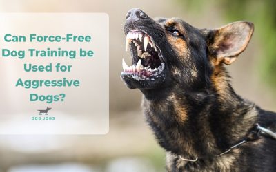 Can Force-Free Dog Training Be Used For Aggressive Dogs?