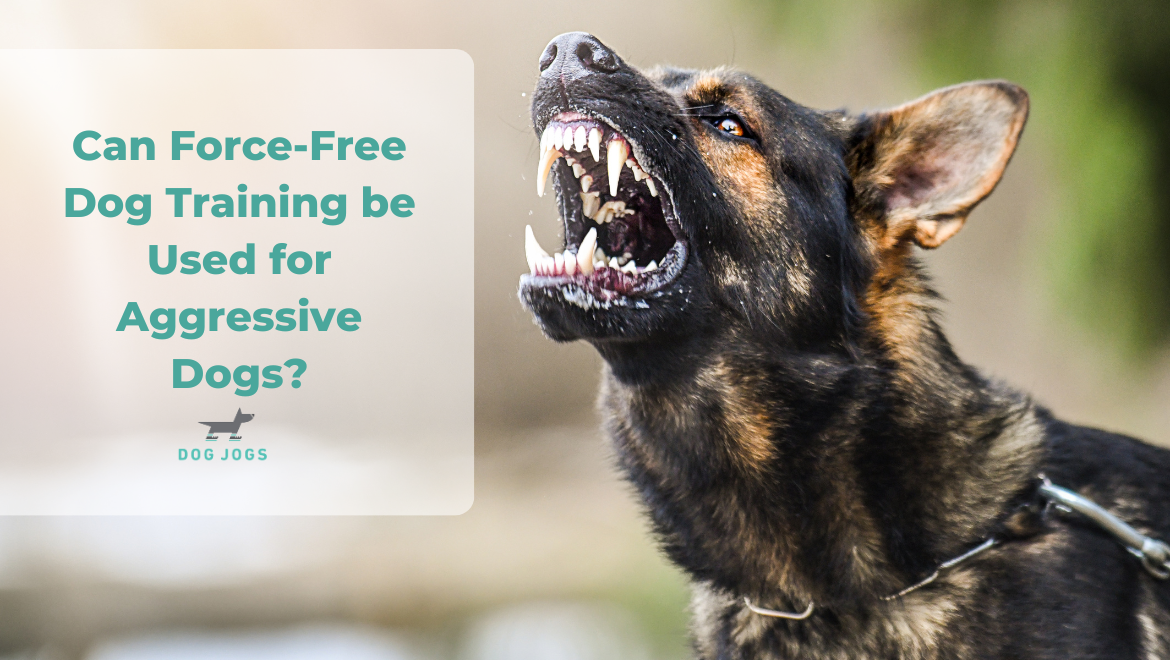 Can Force-Free Dog Training be Used for Aggressive Dogs