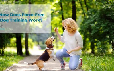 How Does Force-Free Dog Training Work?