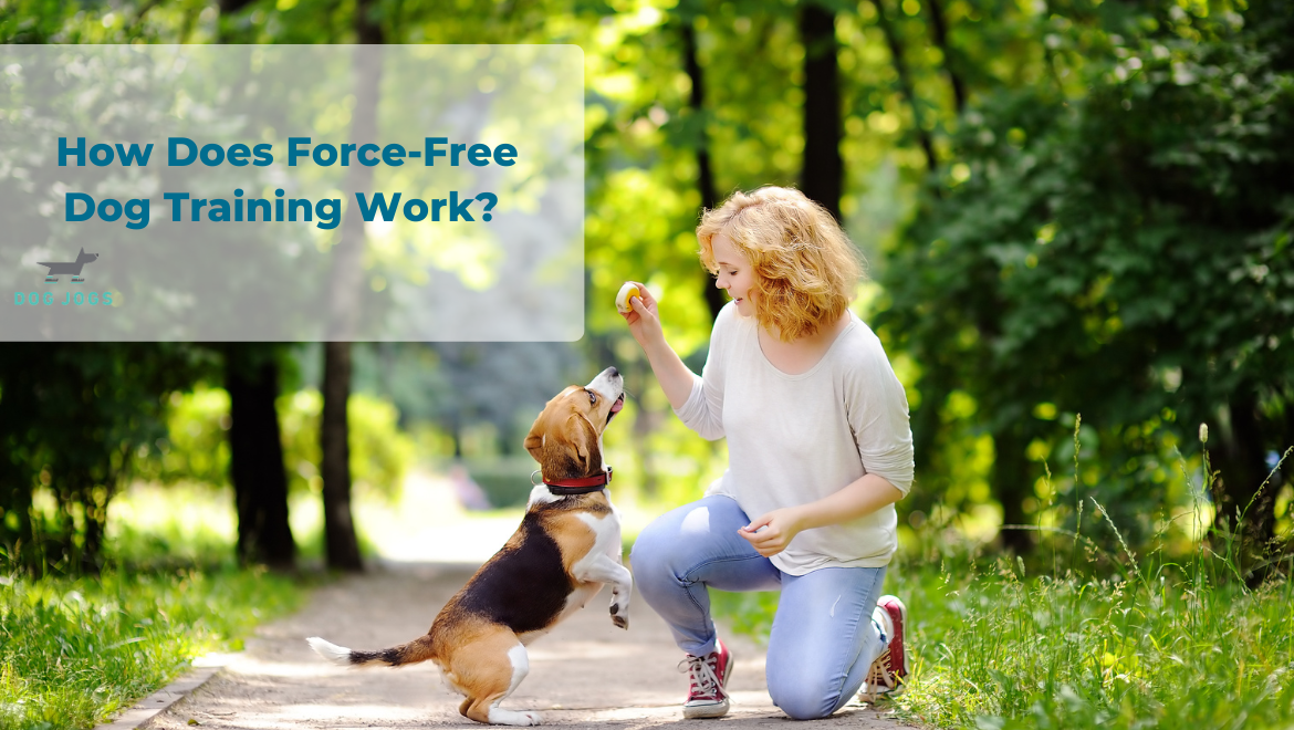 How Does Force-Free Dog Training Work