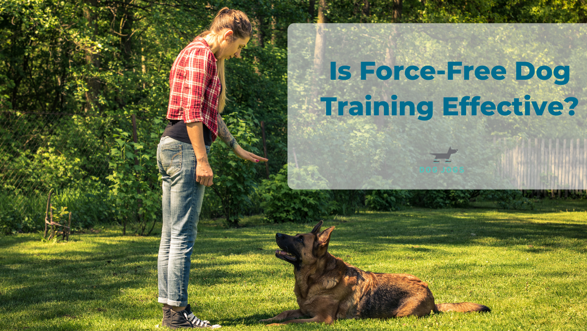 Is Force-Free Dog Training Effective