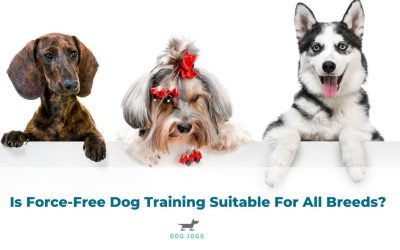Is Force-Free Dog Training Suitable For All Breeds?