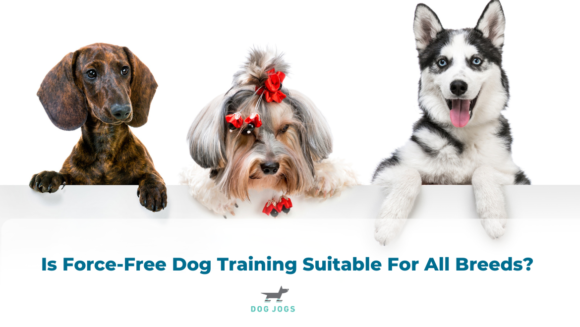 Is Force-Free Dog Training Suitable For All Breeds