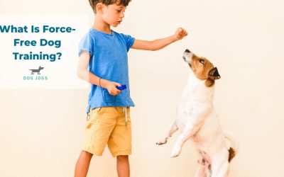 What Is Force-Free Dog Training?