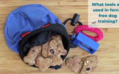 What tools are used in force-free dog training?