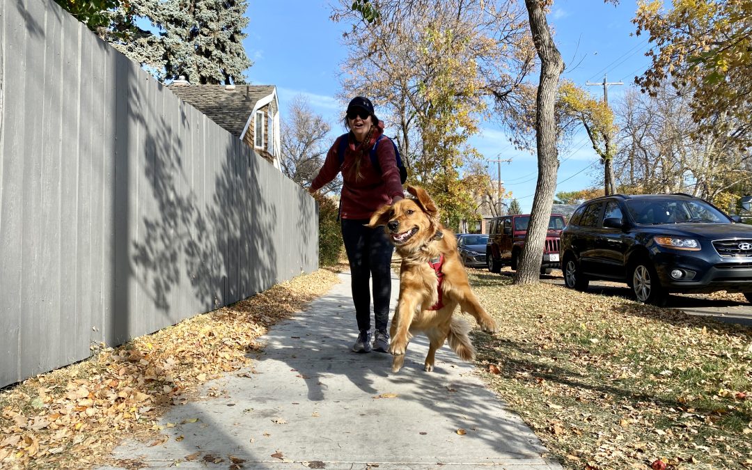  Does Your Dog Actually Need a Dog Walker? The Answer May Surprise You.