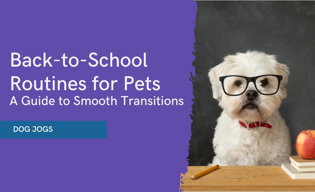 Back-to-School Routines for Pets: A Guide to Smooth Transitions