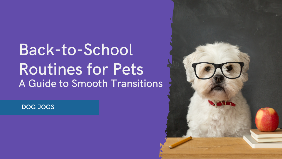 Back to school Routine for pets