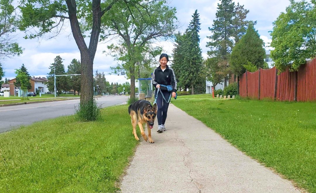 Sarah: Bringing Joy to Dog Walking in SW Edmonton