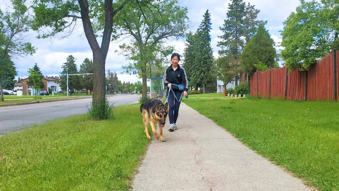 Dog Walker Edmonton