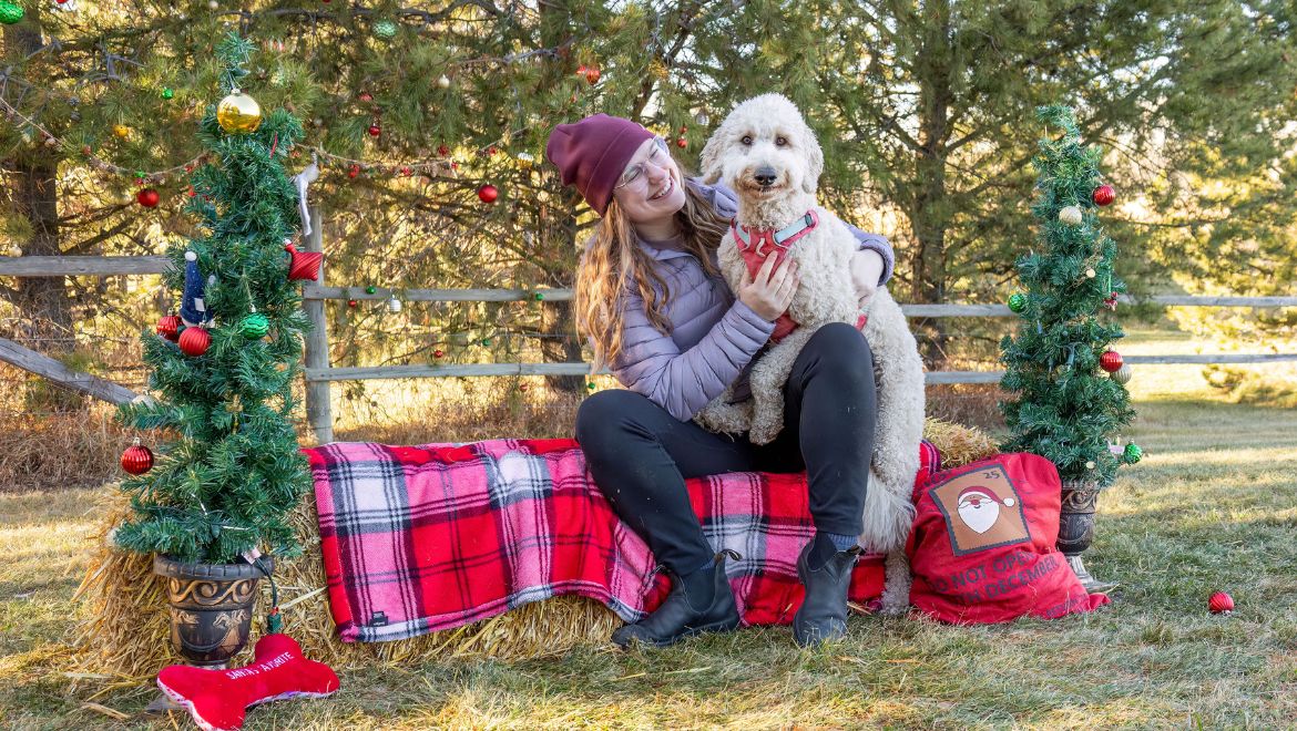 Pet Christmas Photos Edmonton