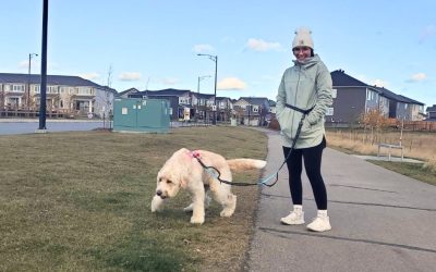 Dog Walker Sherwood Park