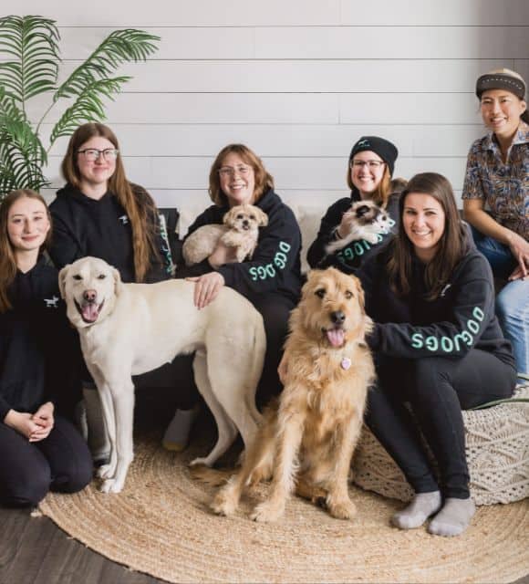 About Dog Jogs Edmonton Dog Training Dog Walking