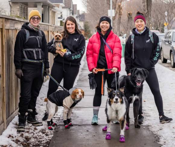 About Dog Jogs Edmonton Dog Training Dog Walking