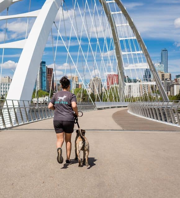 Dog Jogging Edmonton's Favourite Dog Walkers and Dog Joggers