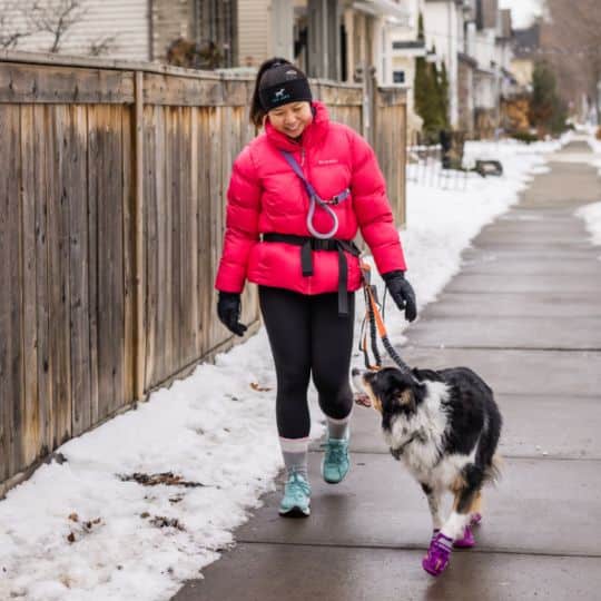 Gloria – Dog Jogger
