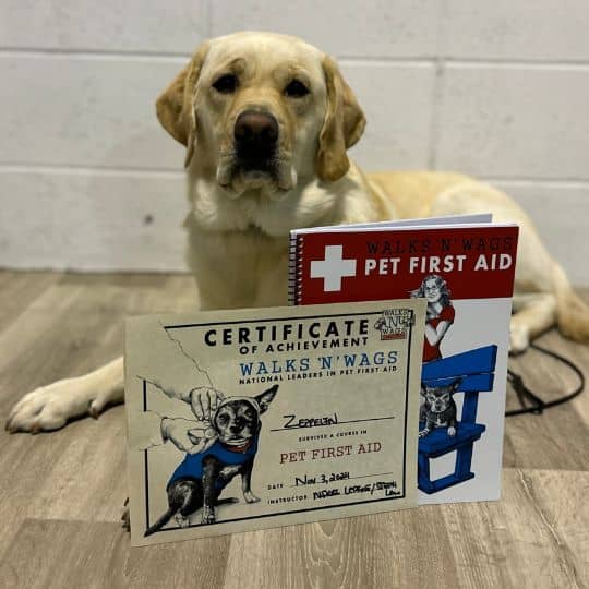 Pet First Aid Course in Edmonton AB Dog Jogs Pet First Aid Course in Edmonton AB Dog Jogs