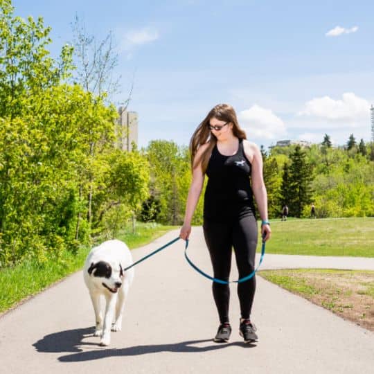 Reina- Office Manager & Certified Dog Trainer