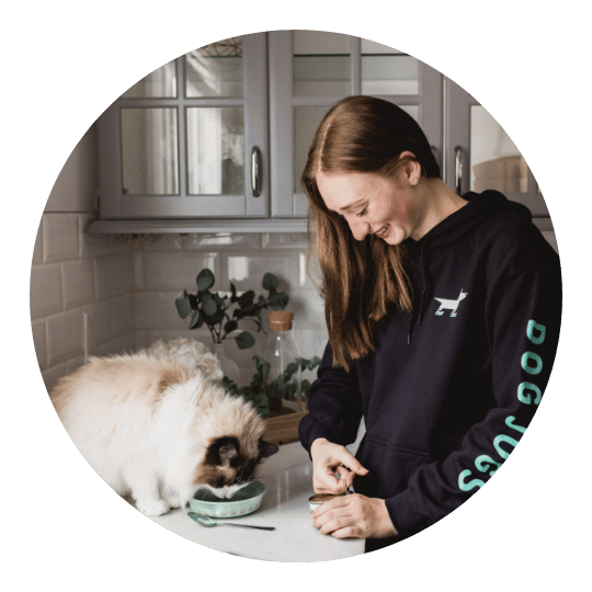 Dog Jogs Dog Training