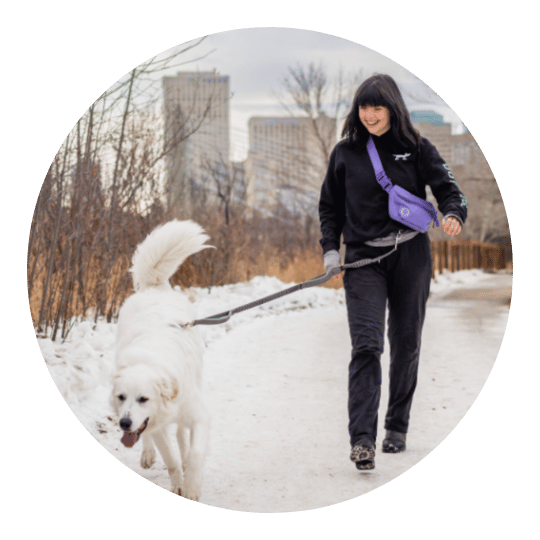 Dog Jogs Dog Training