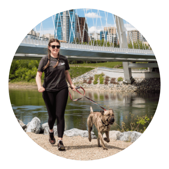 Dog Jogs Dog Training