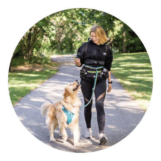 Dog Jogs Dog Training