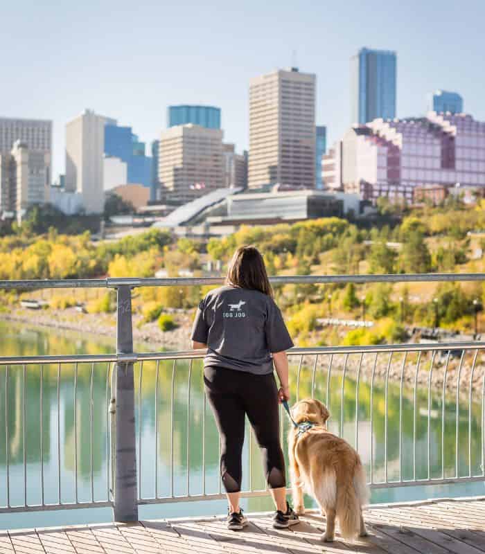 Dog Walking and Pet Sitting Services in Edmonton Service Area Dog Jogs