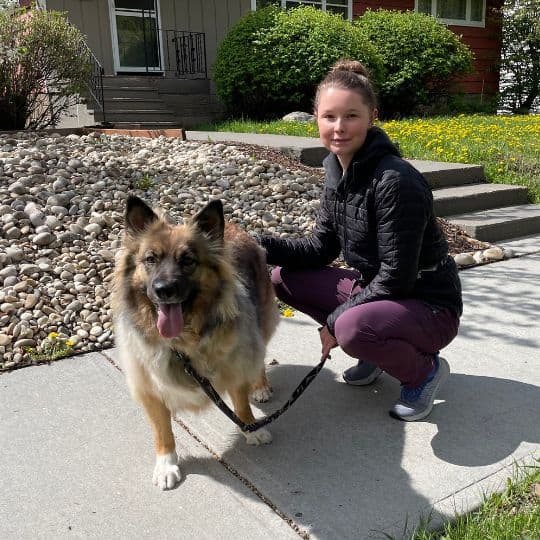 Haven Dog Jogger Edmonton Dog walker