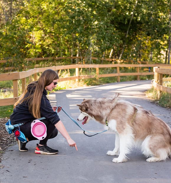 Edmonton's Favourite Dog Trainers