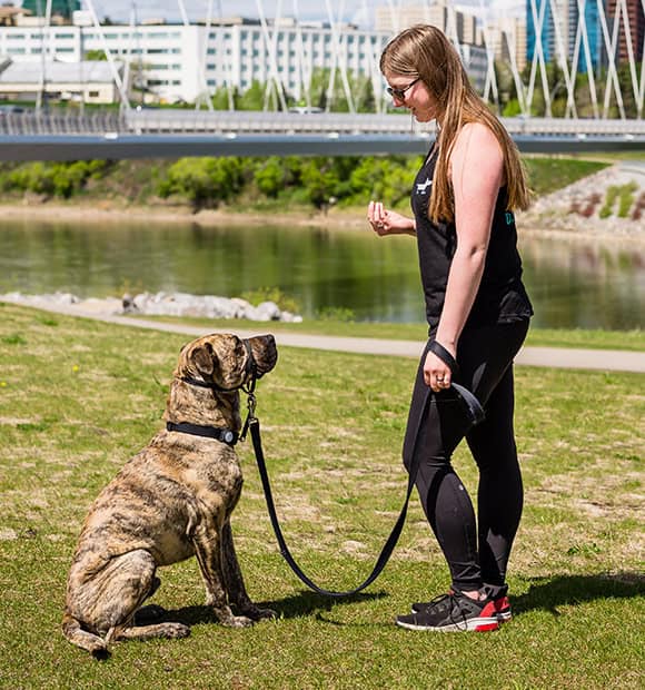 Living with dogs is a joy. That doesn’t mean it’s always easy.