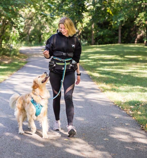 Dog walking down a path in edmonton with a retriever