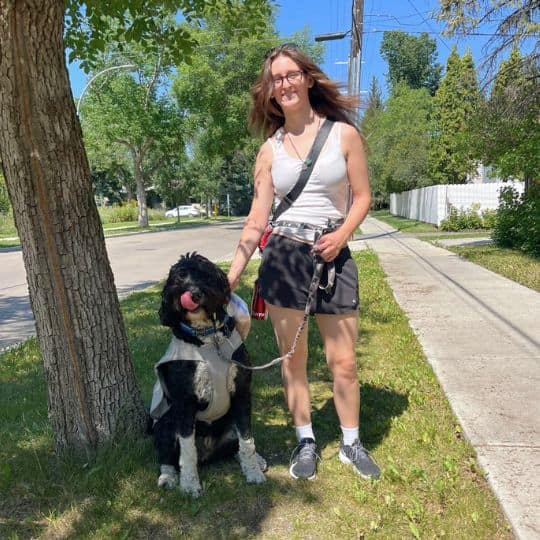 Ivy Dog Jogger Edmonton Dog Walker