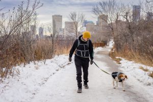 Professional dog walker providing recurring dog walking service in Edmonton