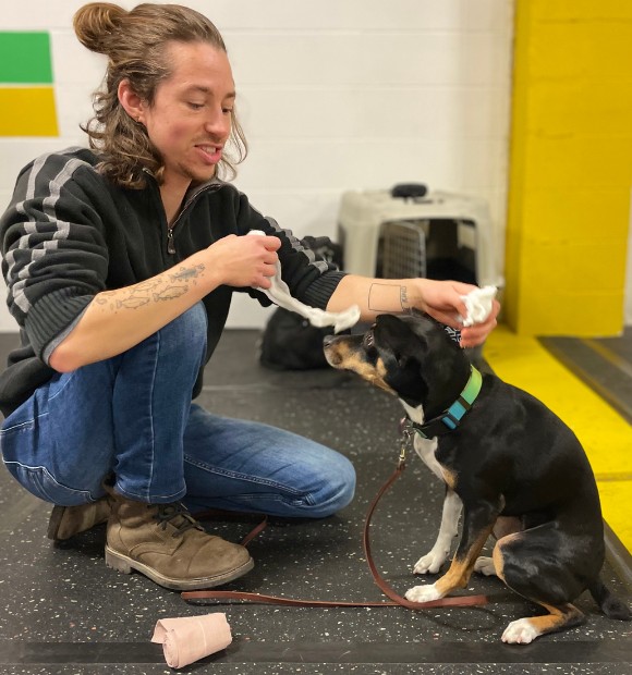 Dog Walker in South East Edmonton