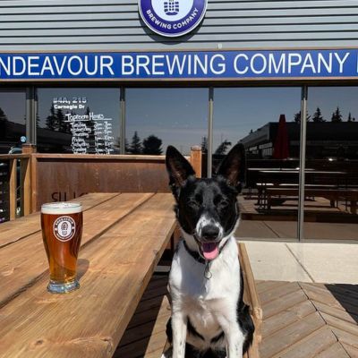 Endeavour Brewing & Coffee Roasters 