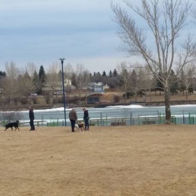 Lacbome Lake Dog Park