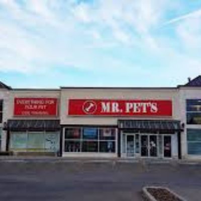 Mr. Pets