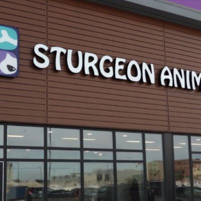 Sturgeon Animal Hospital 