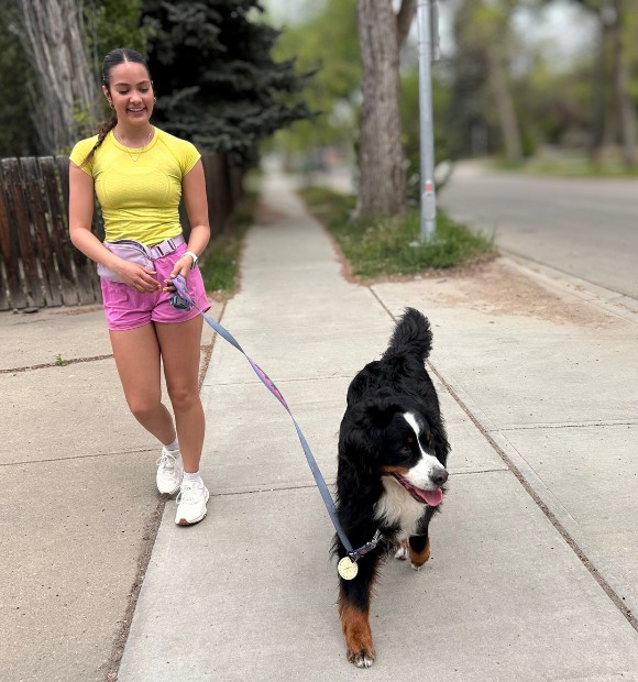 Dog Jogs Dog Walker in Edmonton Richard