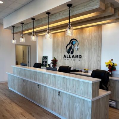 Allard Animal Hospital 