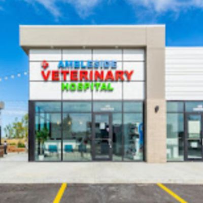 Ambleside Veterinary Hospital