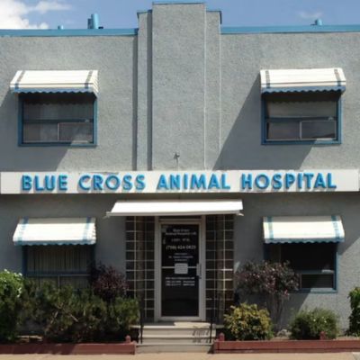 Blue Cross Animal Hospital