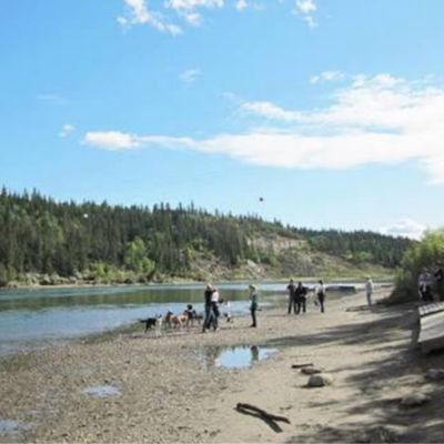 Buena Vista Dog Park