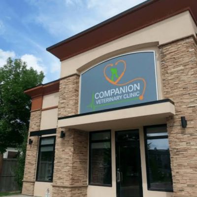 Companion Veterinary Clinic 