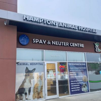 Hamptons Animal Hosptial - Spay/Neuter Centre