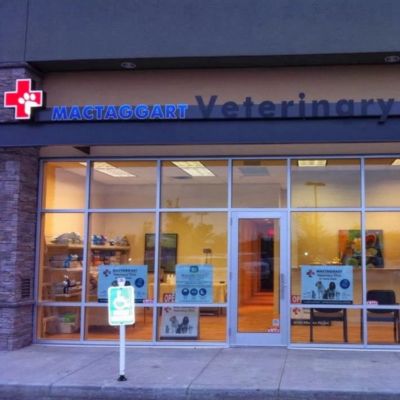 Mactaggart Veterinary Clinic 