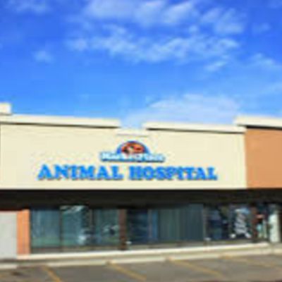 Marketplace Animal Hospital 