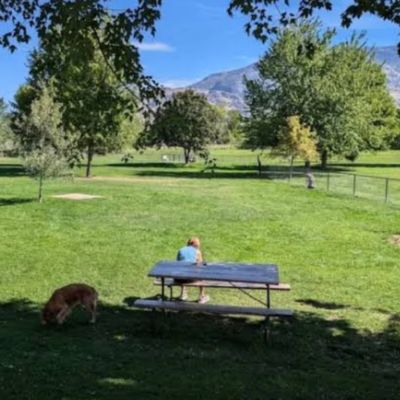 Oliver Off Leash Dog Park